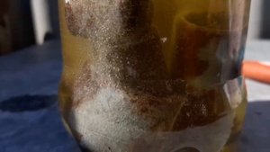 КАК УДАЛИТЬ РЖАВЧИНУ В ДОМАШНИХ УСЛОВИЯХ #ржавчину #коррозия