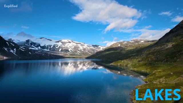 What Is Habitat: Habitat Meaning Explained смотреть онлайн