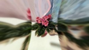 Самые красивые фиалки!!! Фиалки осенью!!! Сорт Ness Orange Pekoe. Фотообзор.