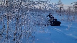 Обзор снегохода STELS Ставр 600 на Крайнем Севере