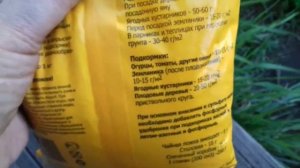94. Желтая кайма на огурцах. Что делать?
