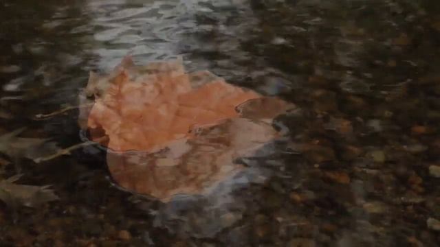 Relax music surrounded by nature - calm down, rest, meditate смотреть онлайн