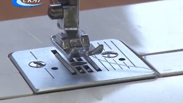 РАСПРАВИЛИ «ПАРУСА»: В ЗДАНИИ БИЗНЕС-ИНКУБАТОРА РАБОТАЮТ КРУЖКИ смотреть онлайн