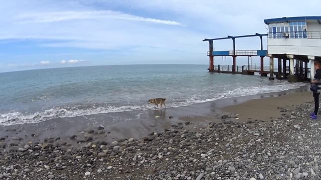 Лазаревское 2023День отъезда Гуляем у моряВстречаем поезд 353часть1