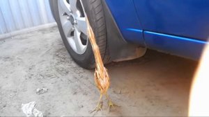 Парень заметил странное СУЩЕСТВО и решил его потрогать!