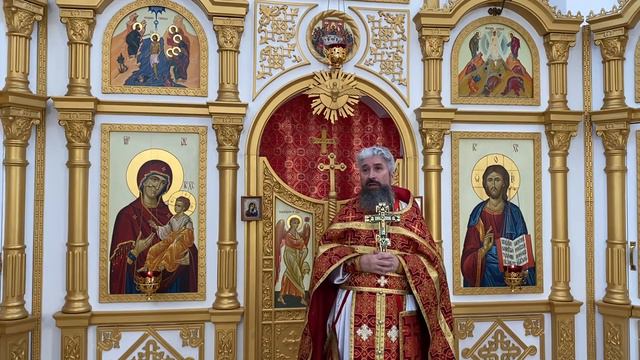 №14 Неделя 6-я по Пасхе, о слепом. 09.06.2024г. смотреть онлайн