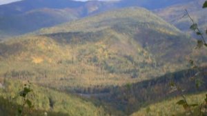 Кенада (авт.Людмила Захарова)