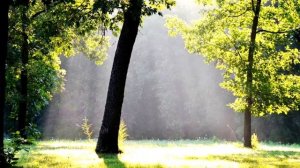 Медитация «Дыхание Маткой»