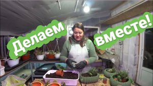 Делаю посадочки и делюсь опытом открытия своего магазина и постройки теплицы | Мастер-класс