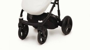 Коляска RIKO Aicon Ecco 2 в 1