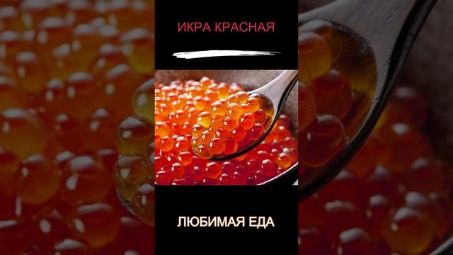 ЛЮБИМАЯ ЕДА ИКРА КРАСНАЯ