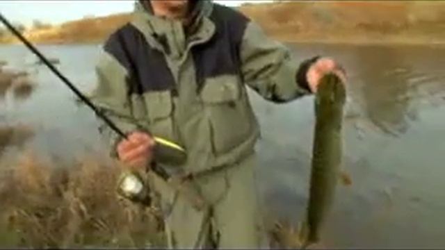 Современная техника ловли на воблеры смотреть онлайн