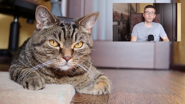 Что будет если резко перестать есть сладкое (сахар)?