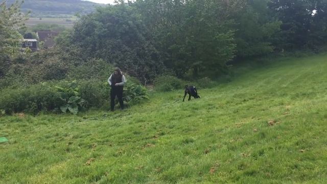 Recall game with a clicker смотреть онлайн