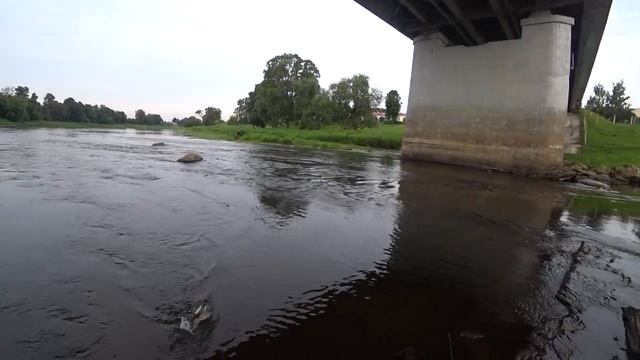 ЧТО ЭТО,ПОДУСТ ИЛИ...РЫБАЛКА НА ДНЕПРЕ В ГОРОДЕ ОРША