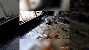 Mitsubishi Pajero Pinin. Ремонт кузова.