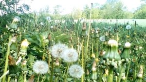 Христианские стихи с глубоким смыслом.