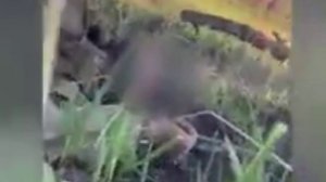 Мощнейшие кадры