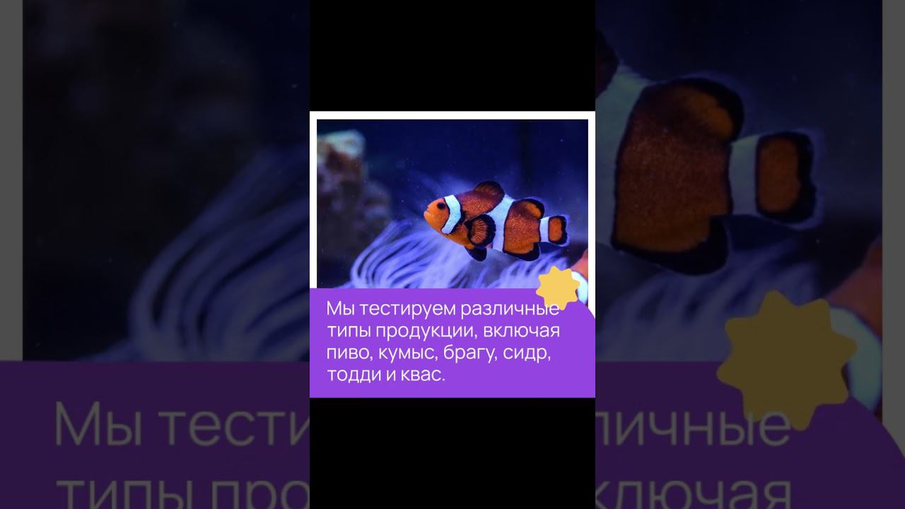 СЕРТЕКС - Ваш надежный партнер в обеспечении безопасности пищевой продукции — sertex.org