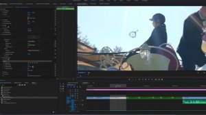 Удалить пятно на видео Adobe Premiere Pro | DSLRVIDEOS.RU
