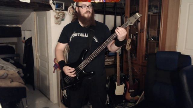 Ozzy Osbourne - Under the Graveyard -- Bass Cover (Ibanez EDB600) смотреть онлайн