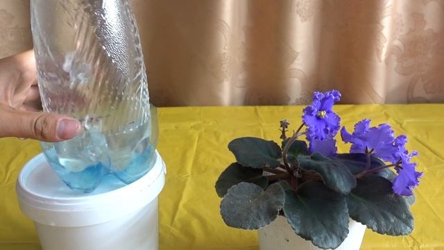 СУПЕР КАПЕЛЬНЫЙ ПОЛИВ ДЛЯ ДОМАШНИХ ЦВЕТОВ СВОИМИ РУКАМИ смотреть онлайн