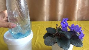 СУПЕР КАПЕЛЬНЫЙ ПОЛИВ ДЛЯ ДОМАШНИХ ЦВЕТОВ СВОИМИ РУКАМИ