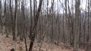 Копаем по выбитым местам. Туапсинское направление.