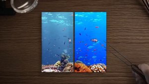 Экраны IPS и AMOLED Что лучше? / Все достоинства и недостатки!