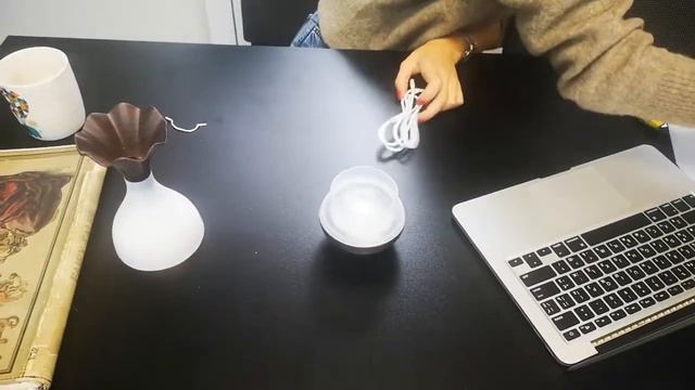 Увлажнитель воздуха WooD Jade Bottle смотреть онлайн