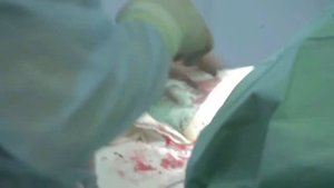 Кукрыниксы - Последняя песня