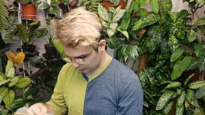 НОВИНКИ/Распаковка посылки с редкими растениями//Алоказии