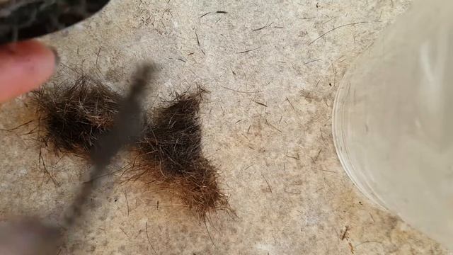 Как почистить машинку СENTEK смотреть онлайн