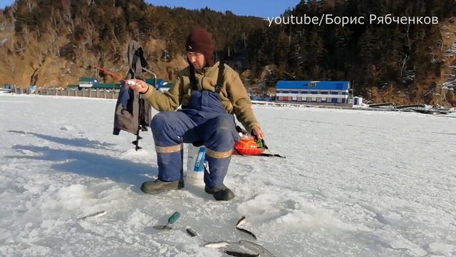 200 fish in a day: Winter fishing for giant smelt on Sakhalin, Russia. ワカサギ釣り Рыбалка корюшка смотреть онлайн