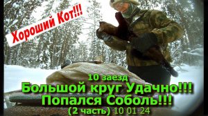 10 заезд Большой круг Удачно!!!! Поймался Соболь!!! (1 часть) 10 01 24