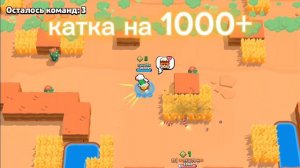 катка на 1000+