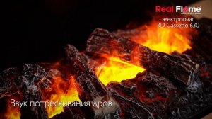 Обзор 3D электрокамина CASSETTE 630 Real Flame