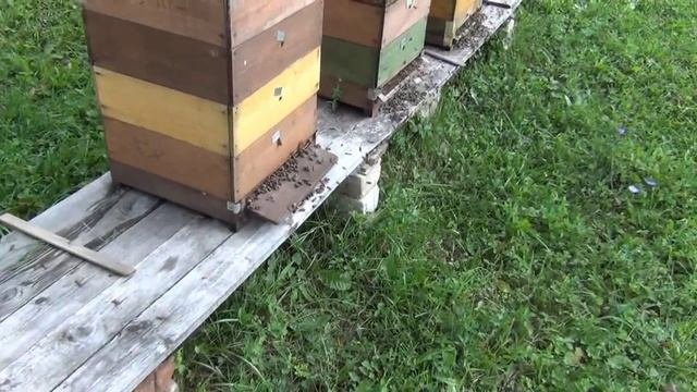 задвижка на леток