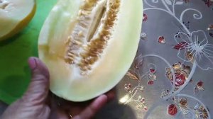 Дыня "Канария", средний Урал.