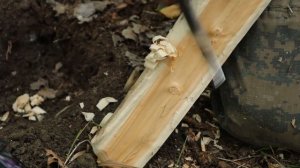 Тесты лучших ножей от ООО ПП "Кизляр" ???