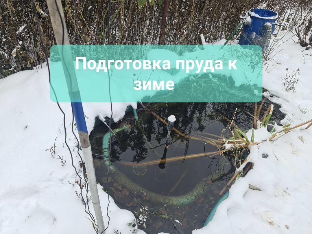 Подготовка пластикого пруда к зиме смотреть онлайн