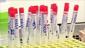 За сутки в России выявлено 6 198 новых случаев заболевания коронавирусом