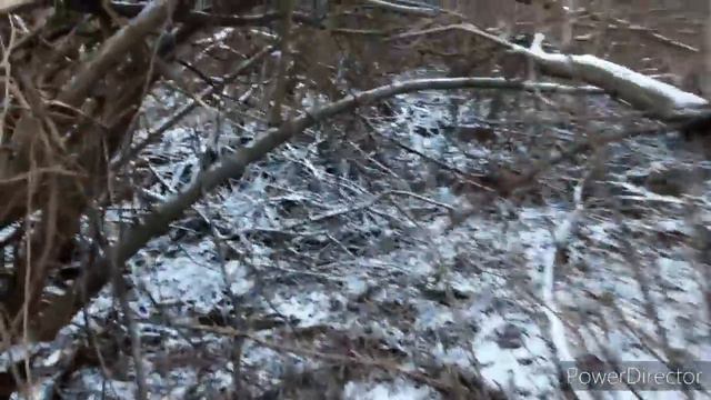 УСТАНОВКА ЖИВОЛОВУШКИ НА КУНИЦУ, ОХОТА НА КУНИЦУ . смотреть онлайн