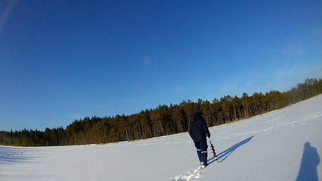 Тащи багор не лезит. Ловля щуки на жерлицы. смотреть онлайн