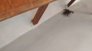 Турция в сентябре .Когда хочется тепла и моря.Мармарис dalyan.