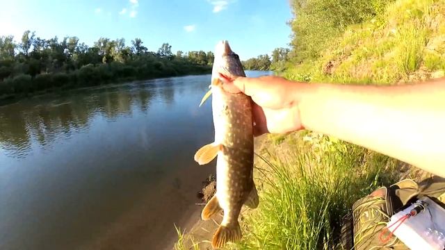 Рыбалка вечером на реке. Рыбалка на спиннинг смотреть онлайн
