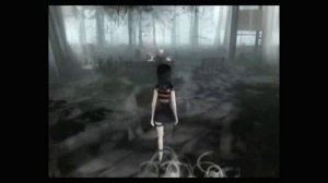 The Path - Обзор Zulin`s v-log