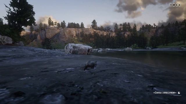 Red Dead online ВИТАЛИЗМ превращаемся в зверей ? Vitalism Studies