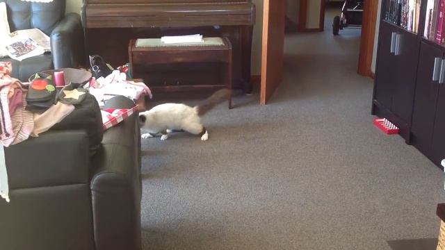 Day 13: George is finding his feet! смотреть онлайн