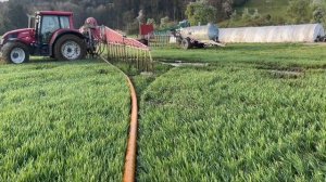 Удобрение поля; жидкий навоз / эффективно ли ?